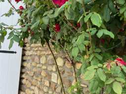 Jolie Maison du Village en Pierre, avec Jardin et Grange Attenante à 30 minutes de Pau